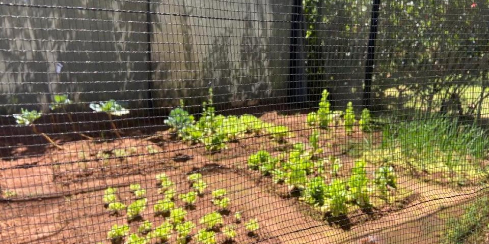 Casa Pé na Água Condomínio Village Cabo Santa Bárbara - SP - Foto 26 de 29