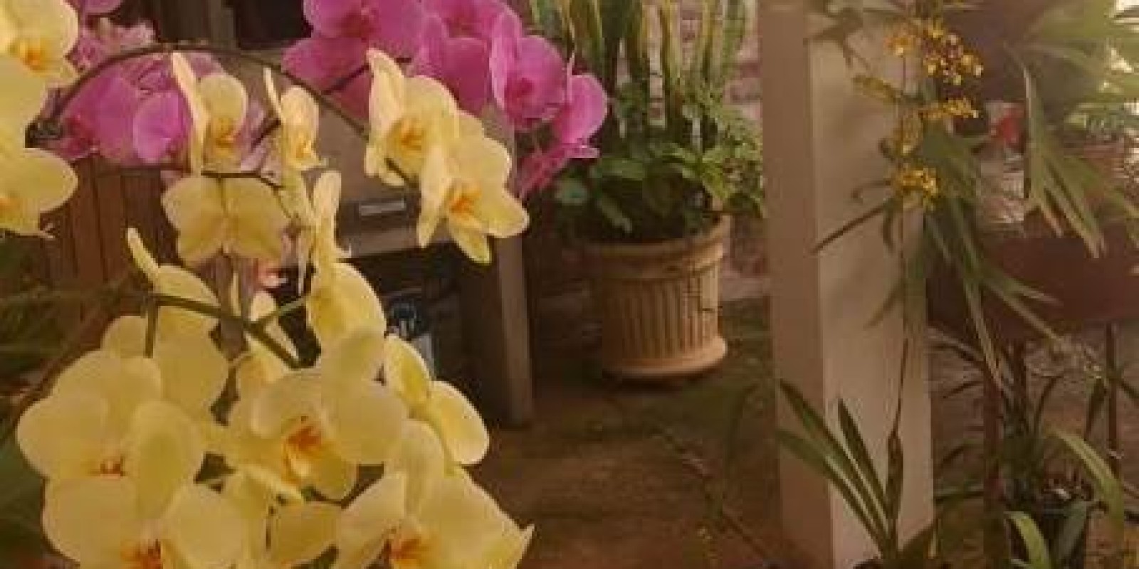 Casa - Boa Localização - Avaré 1 - Avaré - SP - Foto 9 de 36