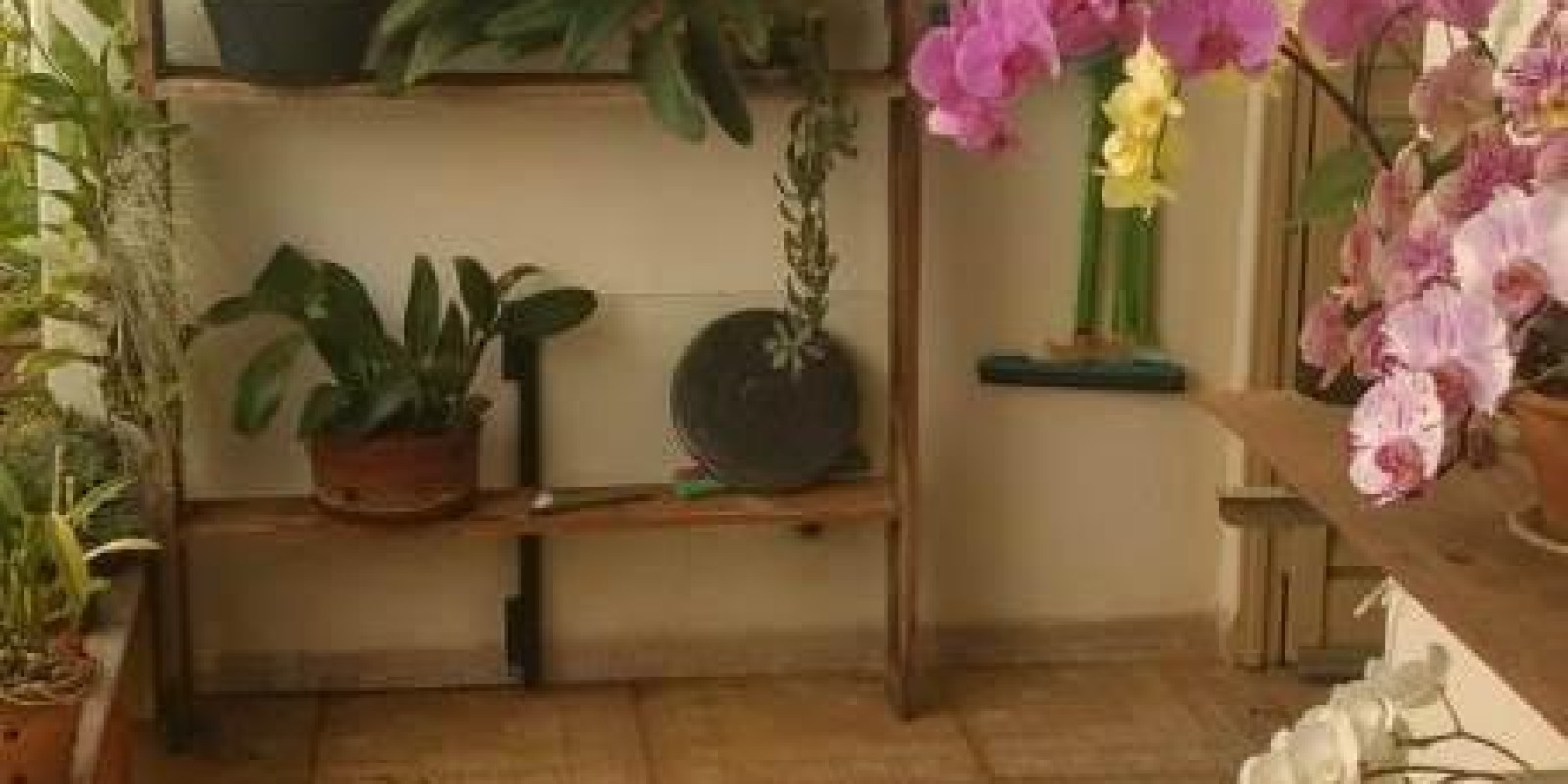 Casa - Boa Localização - Avaré 1 - Avaré - SP - Foto 10 de 36