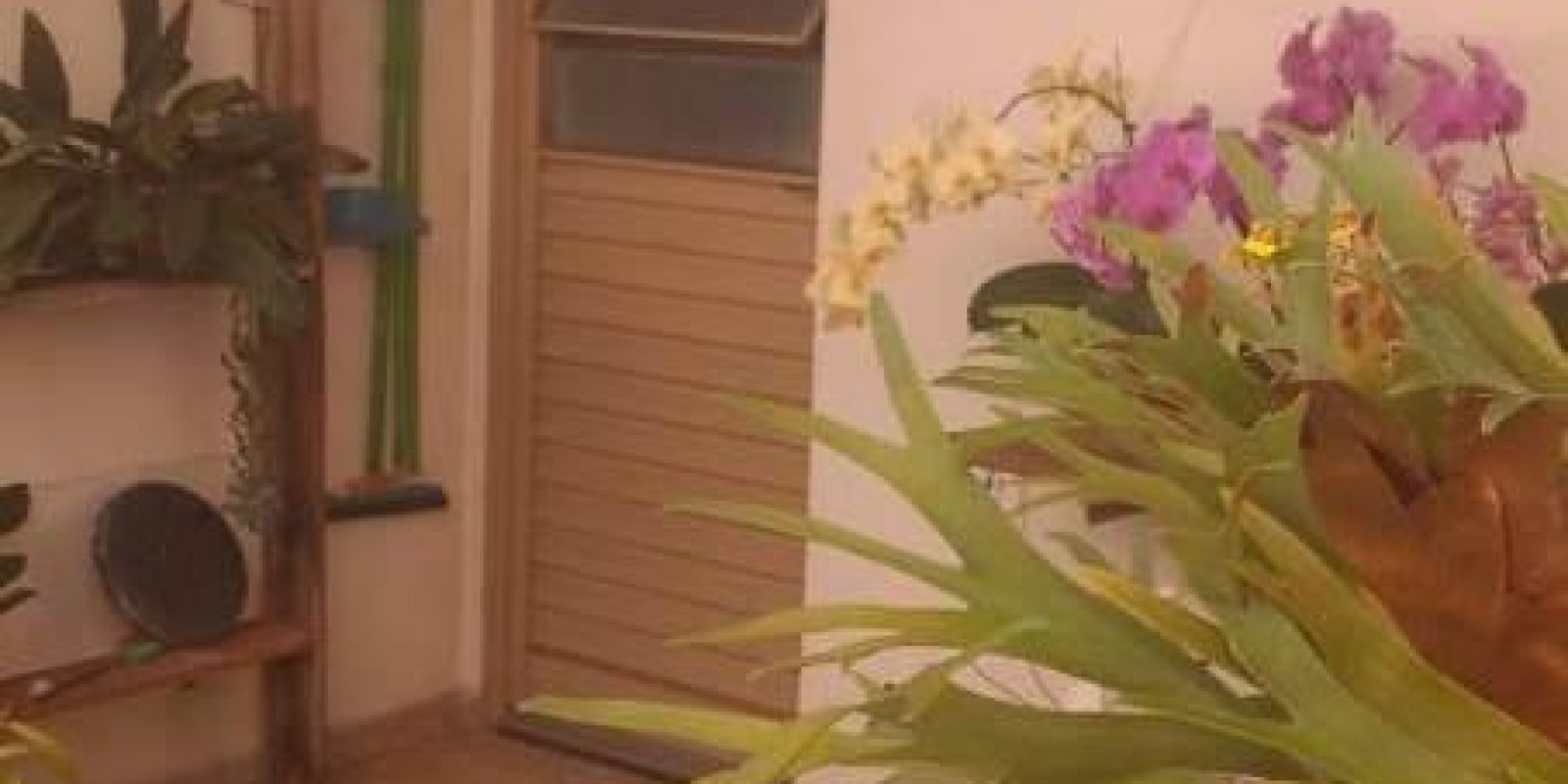 Casa - Boa Localização - Avaré 1 - Avaré - SP - Foto 11 de 36