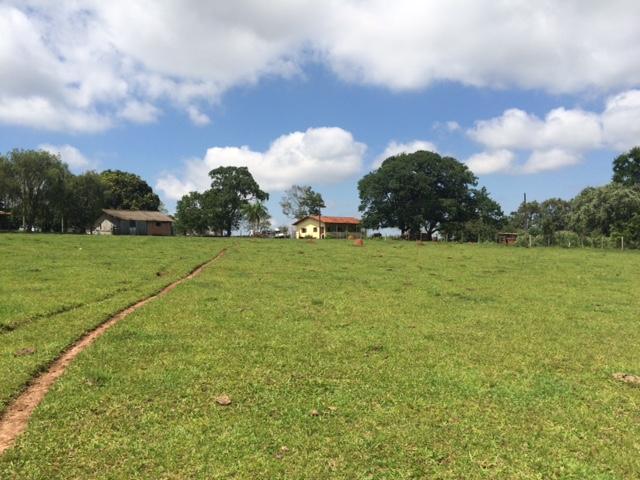 Sitio de 6.5 Alqueires em Avaré SP - Avare