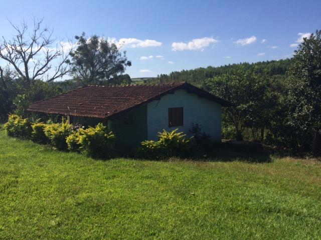 Sítio de 3.9Alqueires em Arandu SP - Arandu