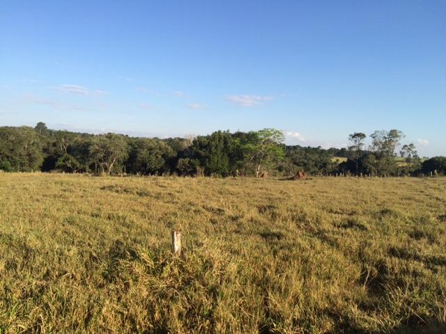 Sítio em Avaré SP - Avare