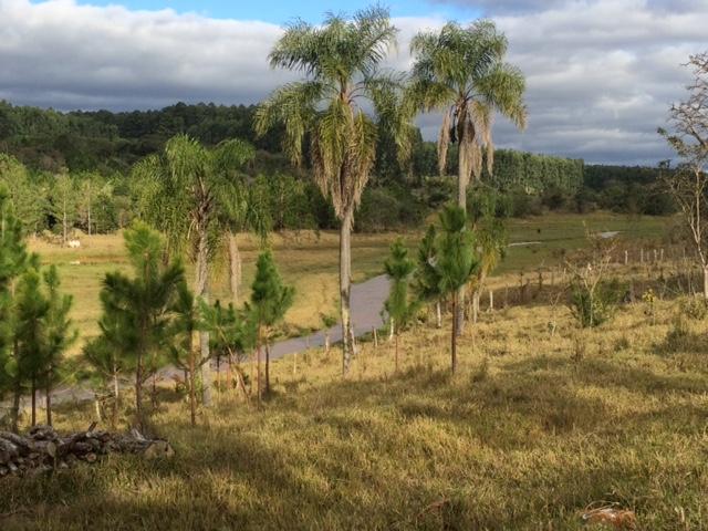 Fazenda 34 Alqueires em Avaré SP - Avare