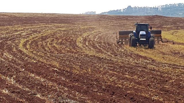  Fazenda de 40 Alqueires, Município de Sarutaiá Sp - Sarutaiá