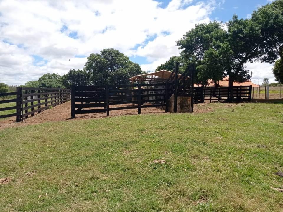 Sítio 47 Alqueires em Avaré SP - Avare